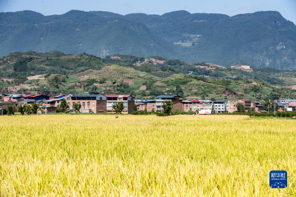 ag旗舰店